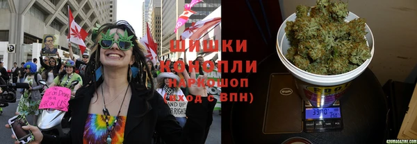 спиды Алзамай