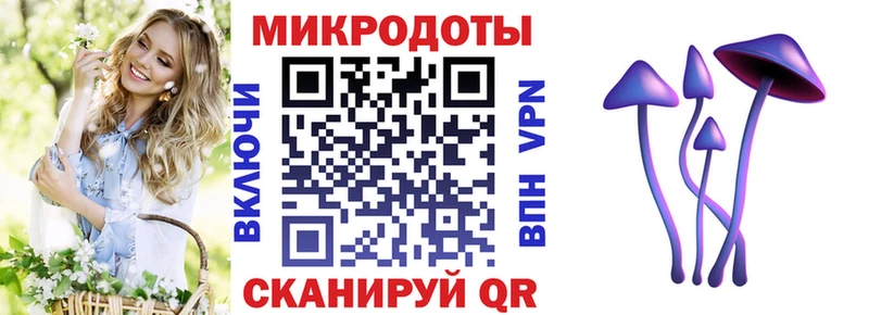 Псилоцибиновые грибы Psilocybe  Чаплыгин 